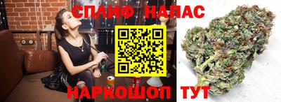 ГАЛЛЮЦИНОГЕННЫЕ ГРИБЫ Будённовск