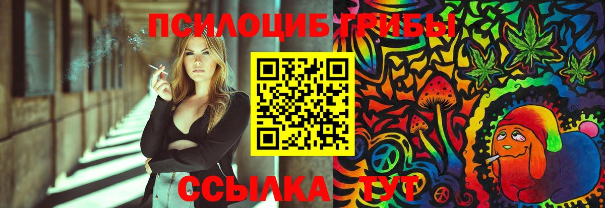 Луга  Галлюциногенные грибы Cubensis  Вход с VPN 