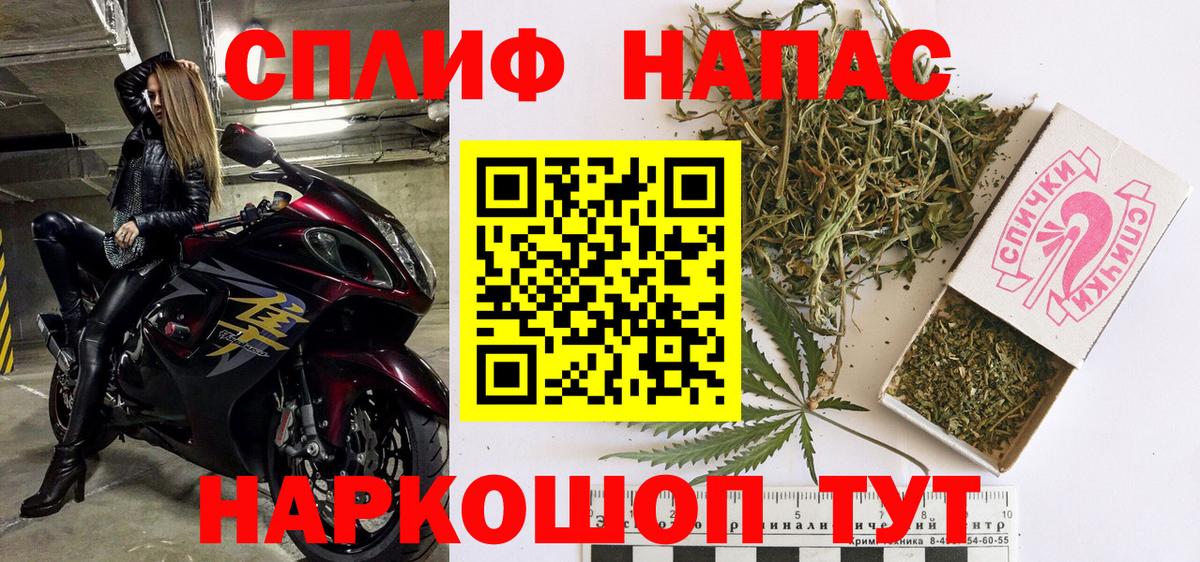 Бошки Шишки планчик Луга
